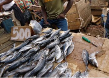 La protection de la santé des populations de la République Démocratique du Congo, incombe au ministère de la santé publique.