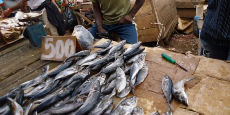 La protection de la santé des populations de la République Démocratique du Congo, incombe au ministère de la santé publique.