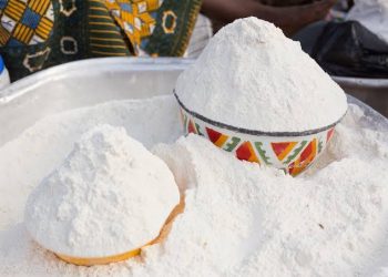 Face à la pénurie et à la flambée de cours du blé sur le marché international qui fait grimper le prix du pain et autres produits de pâtisseries en interne, la République démocratique du Congo (RDC) songe à la possibilité d'introduire dans la fabrication des pains, gâteaux, gaufres etc; d'une dose de la farine de manioc.
