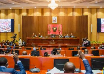 Ces deux textes adoptés en seconde lecture ce jeudi 28 avril par la chambre haute du parlement sont en réalité des projets de loi en matière de justice autorisant la ratification entre la République Démocratique du Congo et le Royaume de Belgique, dans le cadre des relations bilatérales entre les deux États.