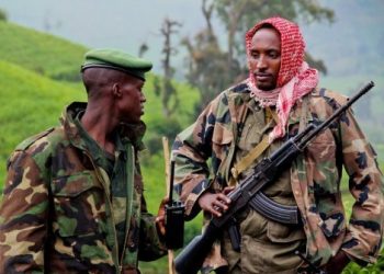 Dans un communiqué signé par le Porte-parole du Gouverneur militaire de la Province du Nord-Kivu le Général Sylvain Ekenge ce vendredi 10 juin 2022, les Forces armées de la République démocratique du Congo (FARDC) ont signalé une dizaine de bombes tirée par l'armée rwandaise sur le territoire congolais. Des Bombardements qui ont eu lieu ce même vendredi à 16h, avec des bombes tirées par un canon à longue portée à partir du territoire rwandais qui se sont explosées sur Birumba et à Babaya. Ces localités situées dans le groupement de Kasigari, chefferie de Bwisha, territoire de Rutshuru, respectivement à 5 km et demi et à 1 km et demi à l'est de Rumangabo.