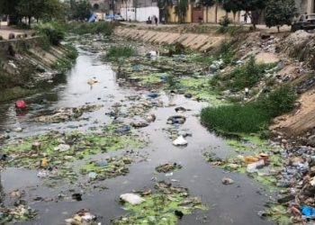Rejets urbains mal filtrés, déchets, plastifiants, plusieurs substances, issues des activités humaines, un cocktail insalubre se retrouve dans cette rivière qui traverse les quartiers Jamaïque, Salongo et Congo dans la commune de Kintambo.