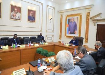 Réchauffement climatique : Guylain Nyembo a reçu les ambassadeurs occidentaux du GIBEC