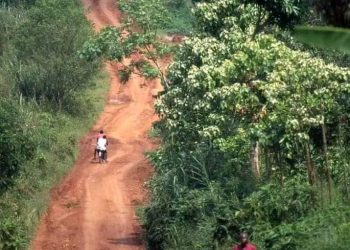Kasaï : 814.362.440,10 USD de la BAD pour construire des infrastructures agricoles