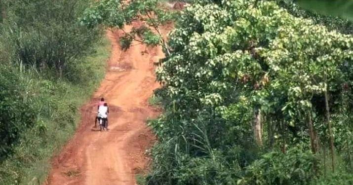 Kasaï : 814.362.440,10 USD de la BAD pour construire des infrastructures agricoles