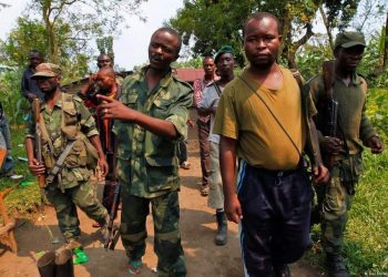 Crise sécuritaire dans le Kivu : l&rsquo;assemblée nationale adopte l&rsquo;interdiction de mixer, de brasser et d’intégrer les groupes armés au sein des FARDC