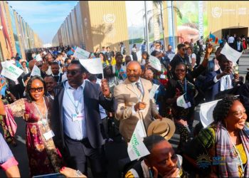 COP27 : Pays pollueurs vs RD Congo, « pays-solution »