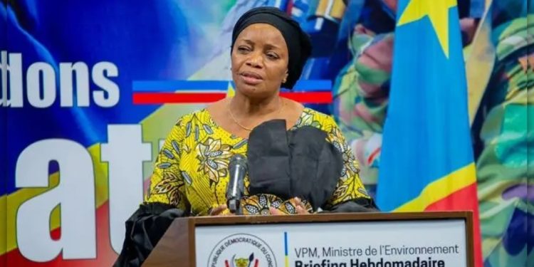 Cop27 : la VPM Eve Bazaiba revient sur les objectifs de la participation de la RDC
