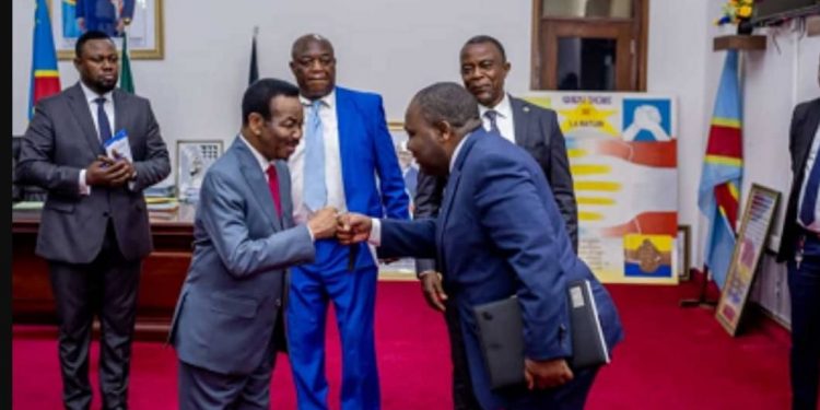 Après avoir été reçu par le président du Sénat Bahati Lukwebo, le comité de sanctions du conseil des sécurité des Nations unies en mission à Kinshasa vient d'être également reçu ce jeudi 10 novembre à l'Assemblée nationale par son président Christophe Mboso.