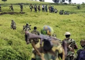 Nord-Kivu : Présence suspecte des RDF/M23 à Masisi et Nyirangongo