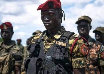 Déploiement de la force régionale de l&rsquo;EAC : la RDC attend un contingent de 750 militaires Sud-soudanais