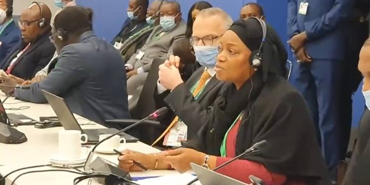 COP15 : La RDC récuse la Co-Facilitation du Rwanda