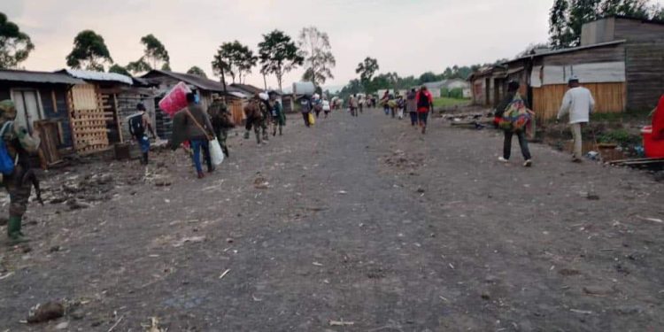 Nord-Kivu : le M23 continue de saboter les résolutions du sommet de Luanda