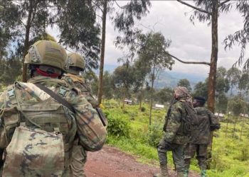 Situation sécuritaire à Kitshanga/Nord-Kivu : Félix Tshisekedi se montre confiant