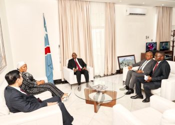 Changement climatique : l&rsquo;Indonésie et la RDC pour un partenariat en faveur du développement durable