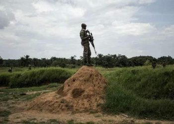 Cessez-le-feu annoncé par le M23 : Une nouvelle bourde du Groupe rebelle !