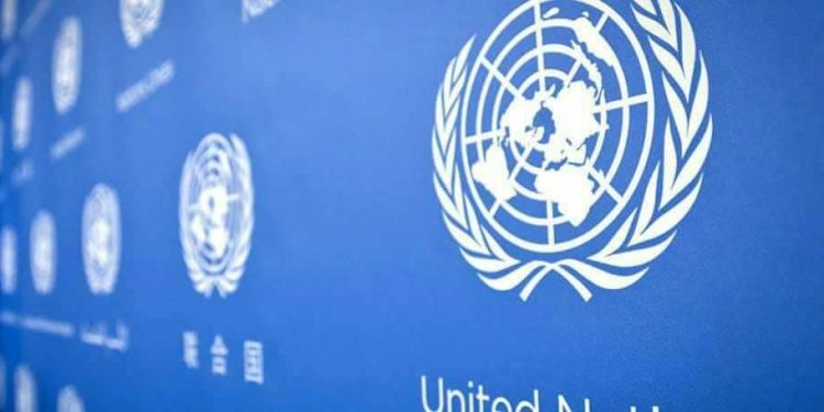 RDC-ONU : Kinshasa accueille les membres du Conseil de sécurité
