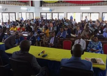 Kisangani : Le sérum contre le venin du serpent bientôt sur le marché.