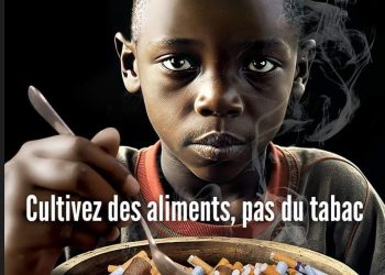 RDC : Le Lualaba, le Kasaï Oriental, le Haut-Uélé et l&rsquo;Equateur, provinces championnes en culture du tabac.