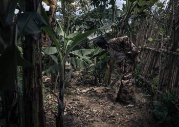 Des fosses communes à Kishishe : HRW appelle à la collecte des preuves des meurtres commis par M23