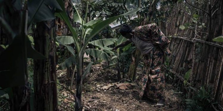Des fosses communes à Kishishe : HRW appelle à la collecte des preuves des meurtres commis par M23
