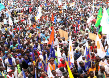 RDC : 910 partis politiques répertoriés, un record mondial