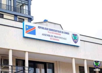 APK : Godé Mpoyi doit attendre que l&rsquo;actuel bureau soit notifié par la justice !