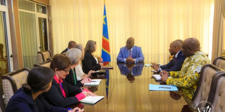 Insécurité dans l&rsquo;Est : 48 millions USD des USA pour assistance humanitaire