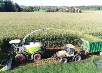 RDC : Adoption d&rsquo;un plan de 6 millions USD pour l&rsquo;accompagnement de la relance agricole