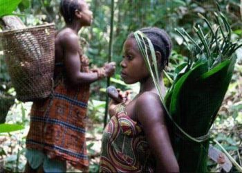 GBFF : Autochtones et communautés locales de la RDC parmi les Bénéficiaires Prioritaires.