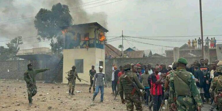 Manifestation à Goma : 7 morts, plusieurs blessés et 158 arrestations signalées (officiel)