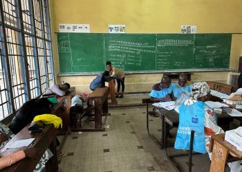 Élections 2023 : « le vote s&rsquo;est déroulé sans problème » (MOE-SADC)