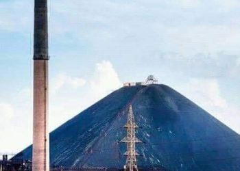 Économie : le défi d&rsquo;un secteur atypique