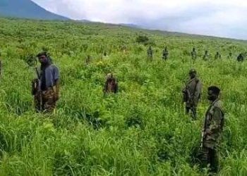 Nord-Kivu : des accrochages entre FARDC et « wazalendo » à Mangina ont fait 6 morts (bilan provisoire)