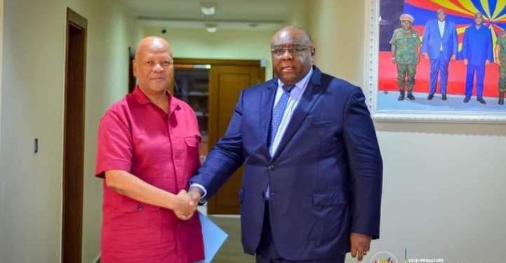 Coopération : l&rsquo;Afrique du sud s&rsquo;engage à plus de contribution pour la paix à l&rsquo;Est de la RDC