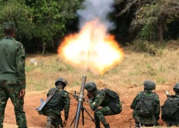Instabilité dans l&rsquo;Est de la RDC : les USA pour plus d&rsquo;actions diplomatiques