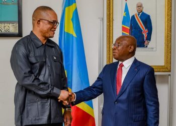 Sécurité transfrontalière : les deux Congo veulent plancher sur la sécurisation de la frontière commune