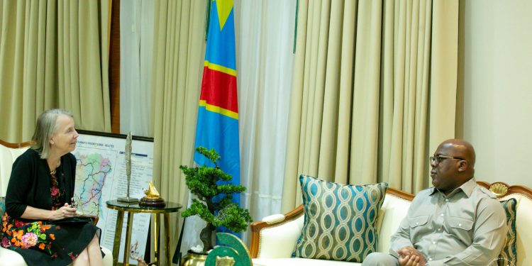 Coopération : les ambassadeurs des USA, de la France et de la Belgique reçus par Félix Tshisekedi