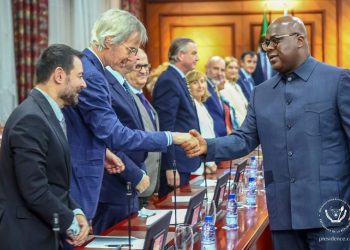 RDC : les pays de l&rsquo;UE réitèrent leur disponibilité à travailler avec Kinshasa