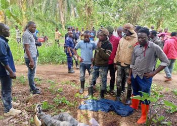 Massacre de 41 civils à Béni : le gouvernement condamne ces tueries et promete de traquer les auteurs