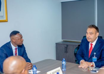 Energie : Les Émirats Arabes Unis veulent fournir à la RDC de l&rsquo;électricité