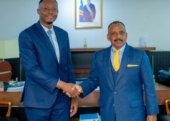 Coopération Énergétique : La RDC reçoit le soutien de la Namibie et du Sri Lanka.