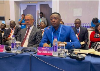 Forum Chine-RDC: Teddy Lwamba présente le potentiel hydroélectrique de la RDC.