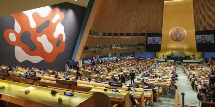 Diplomatie : La RDC élue au Conseil des droits de l’homme de l’ONU