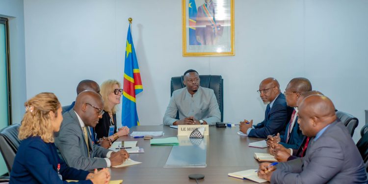 « Scaling Made In : le programme de l&rsquo;IFC s&rsquo;implante en RDC pour renforcer le secteur énergétique »