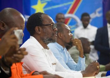 Révision constitutionnelle : Delly Sesanga dénonce une interprétation biaisée de l&rsquo;article 217 par F. Tshisekedi