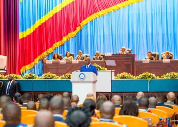 Fayulu à Tshisekedi : « La Constitution n’entrave en rien le bon fonctionnement des institutions »