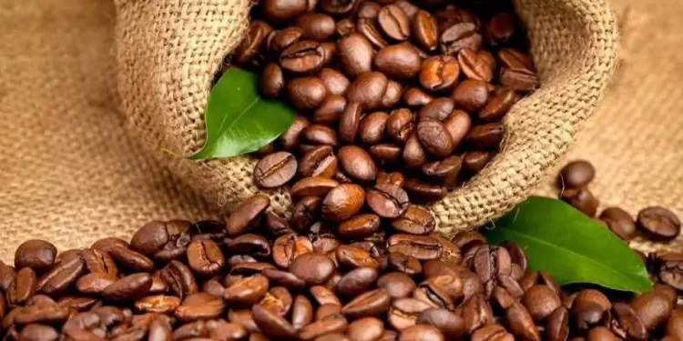 Filière Café-Cacao de la RDC : Réaction du Gouvernement face à l’interdiction de l’UE