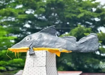 Renforcement des Capacités de l’Office National de Pêche et d’Aquaculture : Priorité pour la Sécurité Alimentaire en RDC