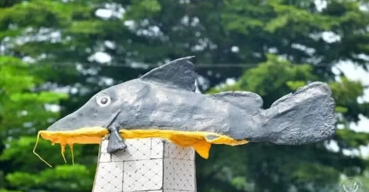 Renforcement des Capacités de l’Office National de Pêche et d’Aquaculture : Priorité pour la Sécurité Alimentaire en RDC